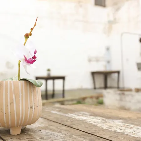 Apartment Corte Micetti 1- Centro Storico