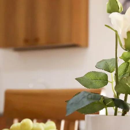 Corte Micetti 1- Centro Storico Apartman