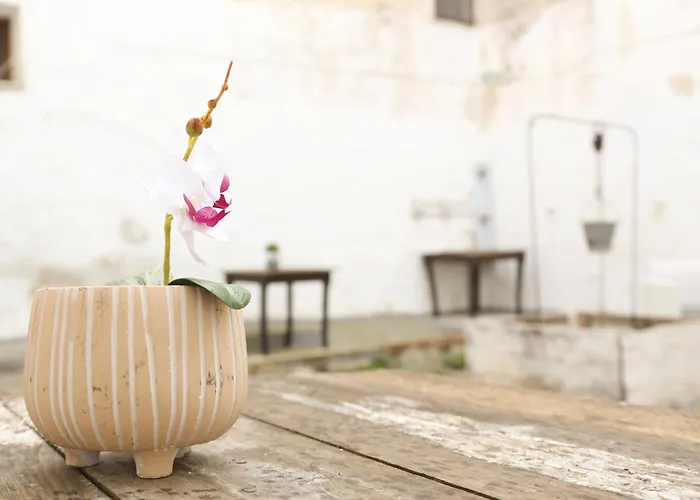 Apartamento Corte Micetti 1- Centro Storico