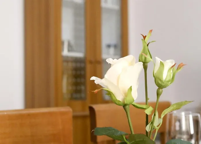 Corte Micetti 1- Centro Storico * Gallipoli