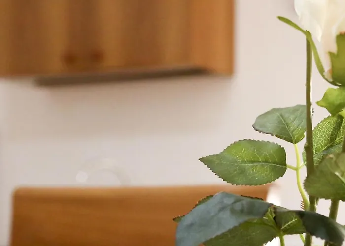 Corte Micetti 1- Centro Storico Apartment